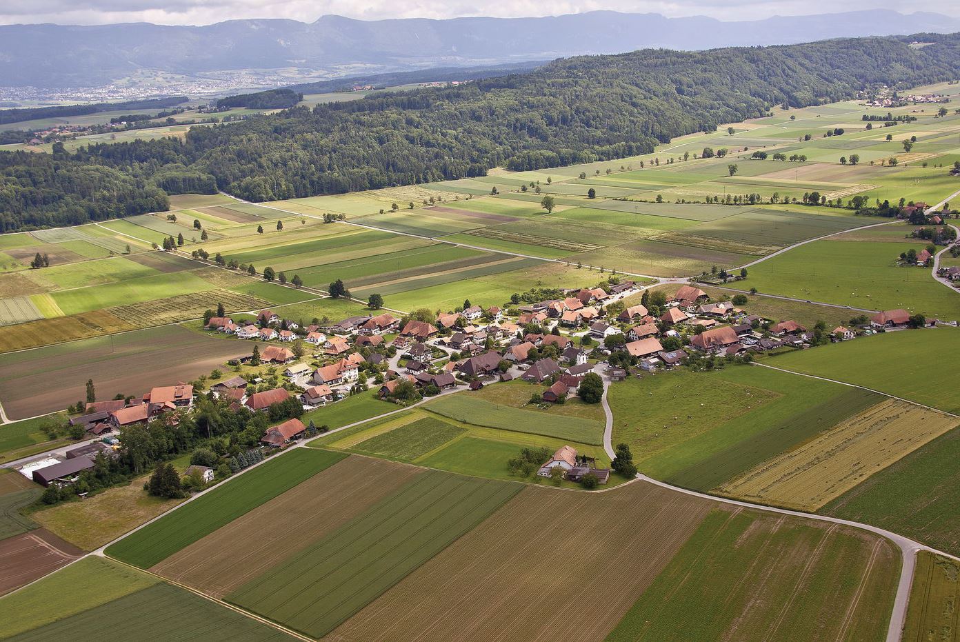 Wengi und Bucheggberg