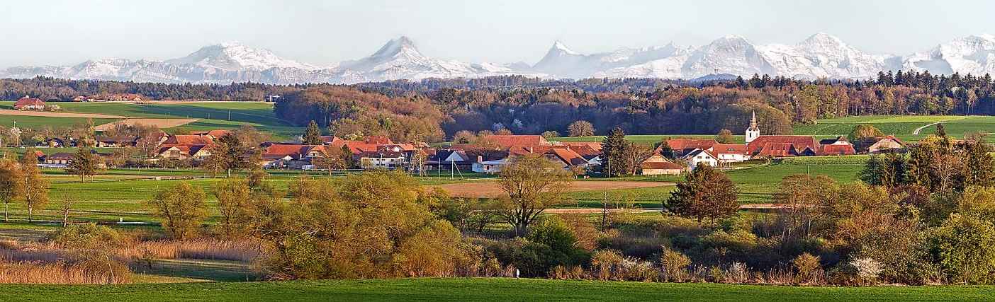 Panorama Wengi mit Alpenkette